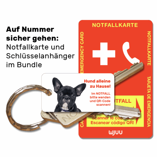 Schlüsselanhänger für Haustierbesitzer für den Notfall Hund Bulldogge Bundle Notfallkarte