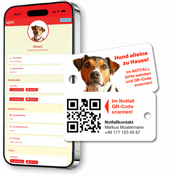 Schlüsselanhänger für Haustierbesitzer für den Notfall Hund Jack Russell Terrier