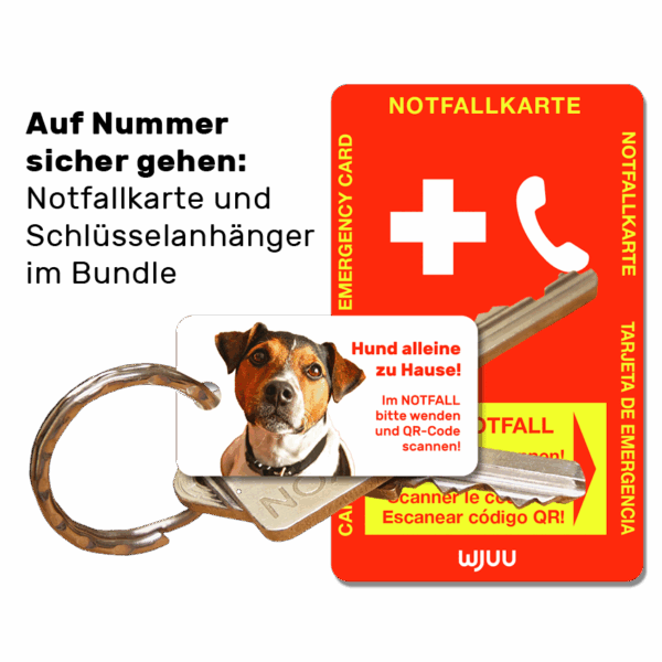 Schlüsselanhänger für Haustierbesitzer für den Notfall Hund Jack Russell Terrier Bundle Notfallkarte