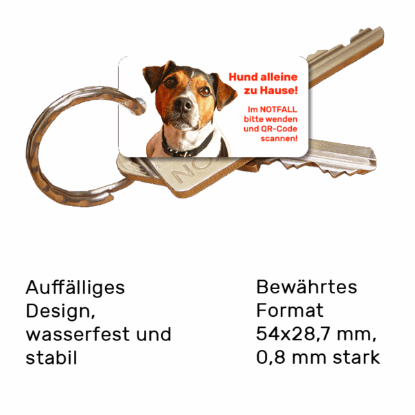Schlüsselanhänger für Haustierbesitzer für den Notfall Hund Jack Russell Terrier Vorderseite