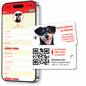 Schlüsselanhänger für Haustierbesitzer für den Notfall Hund Mischling