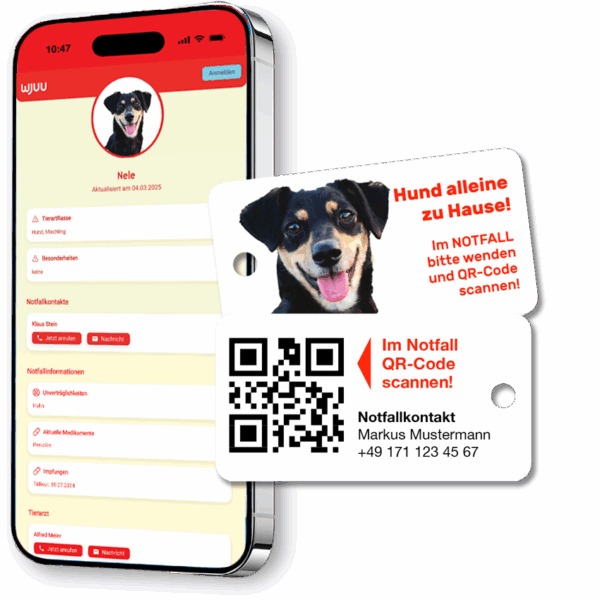Schlüsselanhänger für Haustierbesitzer für den Notfall Hund Mischling