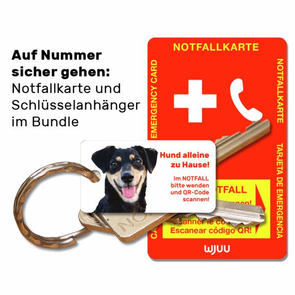 Schlüsselanhänger für Haustierbesitzer für den Notfall Hund Mischling Bundle Notfallkarte