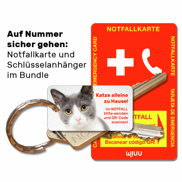 Schlüsselanhänger für Haustierbesitzer für den Notfall Katze Hauskatze Bundle Notfallkarte