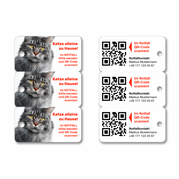 Schlüsselanhänger für Haustierbesitzer für den Notfall Katze Maine Coon 3er Set