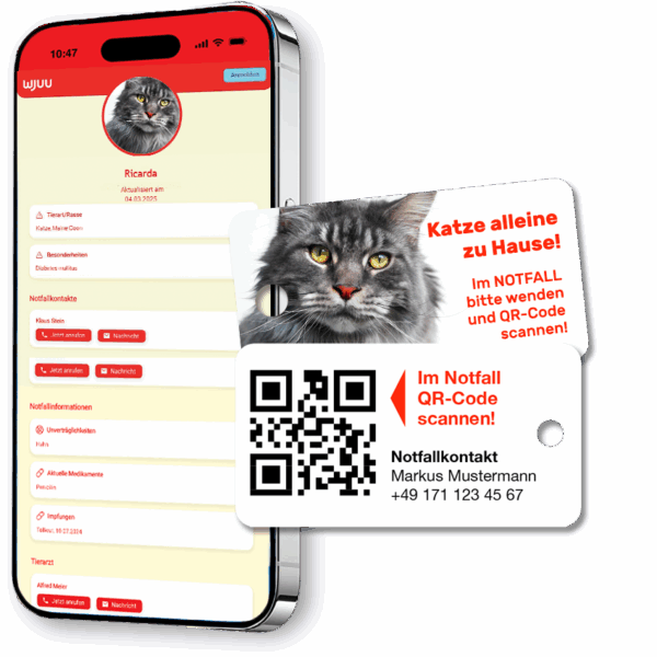 Schlüsselanhänger für Haustierbesitzer für den Notfall Katze Maine Coon