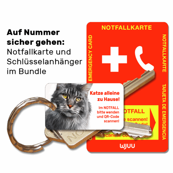 Schlüsselanhänger für Haustierbesitzer für den Notfall Katze Maine Coon Bundle Notfallkarte