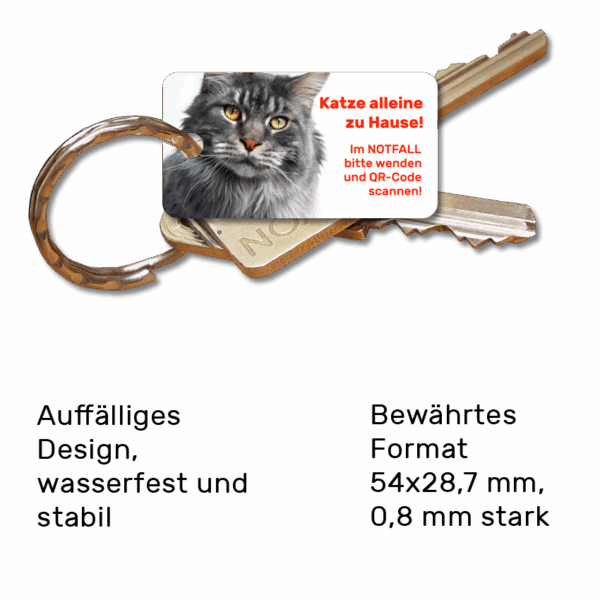 Schlüsselanhänger für Haustierbesitzer für den Notfall Katze Maine Coon Vorderseite